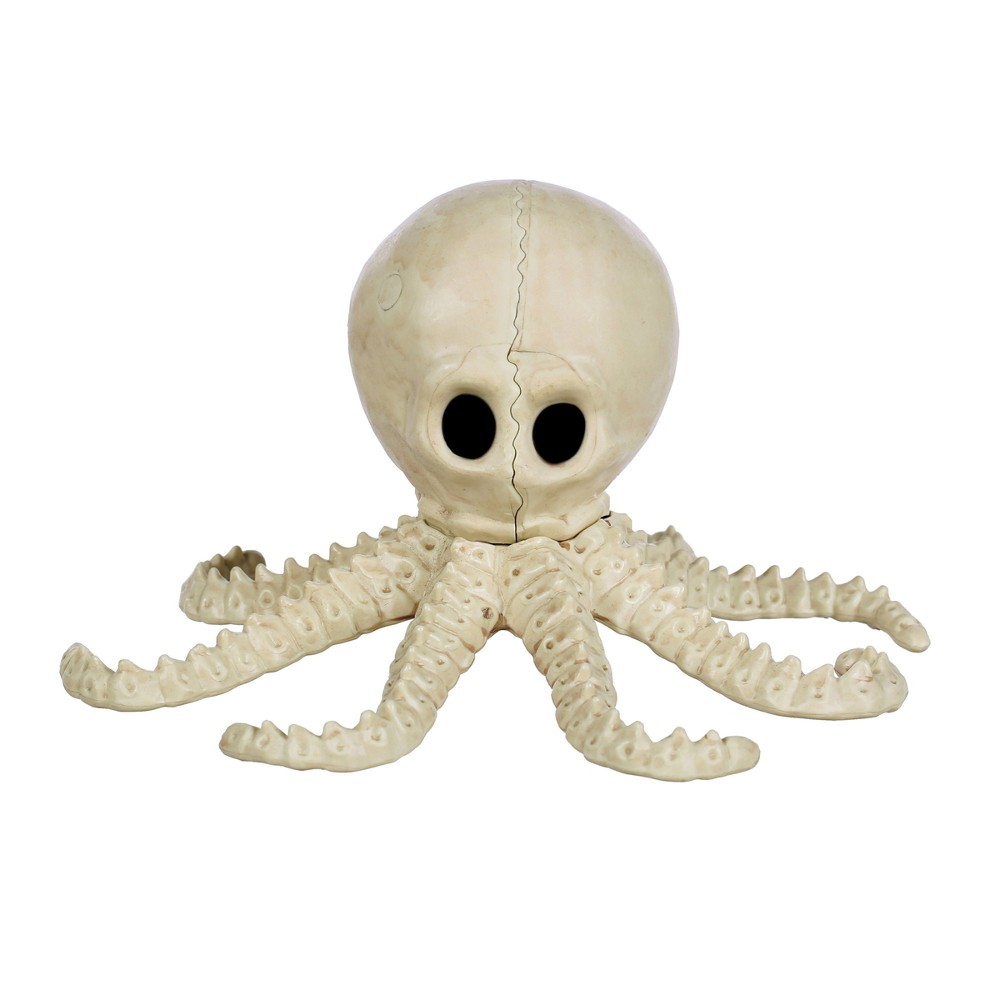 Skelett bläckfisk 20 cm