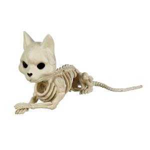 Skelett katt 17 cm