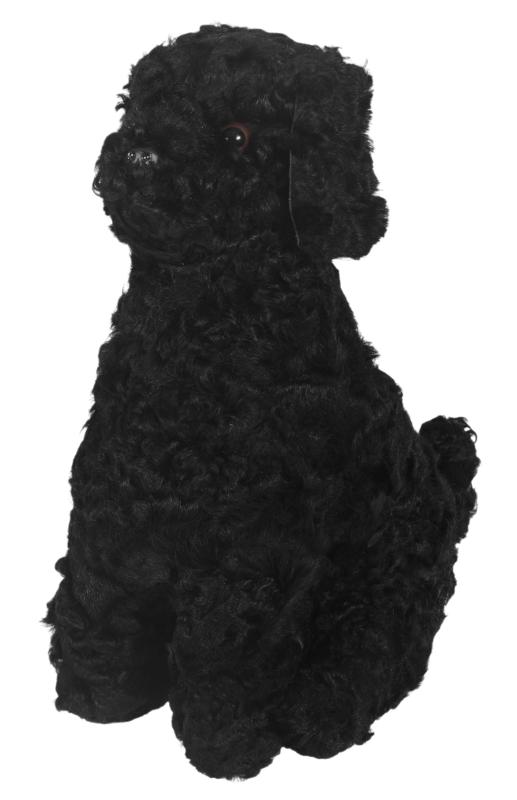 Curly Zorro - Black