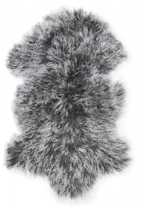 Shansi Tibetlamb - Grey Snowtop