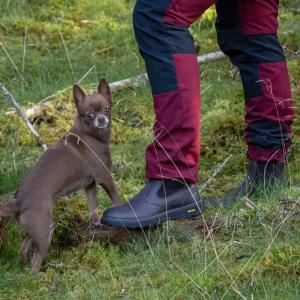 Graninge Åreskutan Chelsea Boot