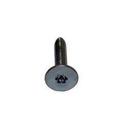 Flakskruv M6x30, torx