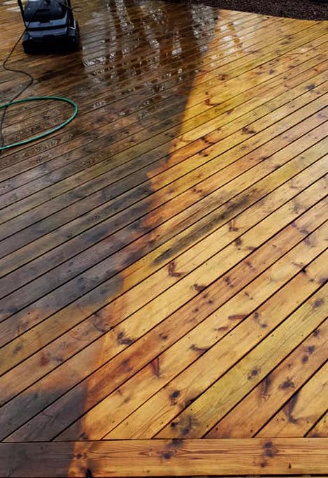 ett skurit golv med skurmaskin på Colorama ett skurit golv med skurmaskin på Colorama