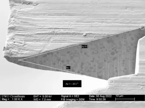 11 - Blade edge shows burrs and dents - Example 2 - SEM image