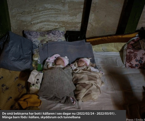 stöd ukraina - nyfödda bebisar i källaren, den 1 Mars 2022 Kharkiv