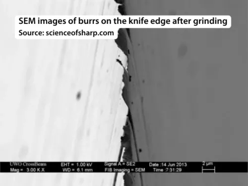 11 - Blade edge shows burrs and dents - Example 1 - SEM image