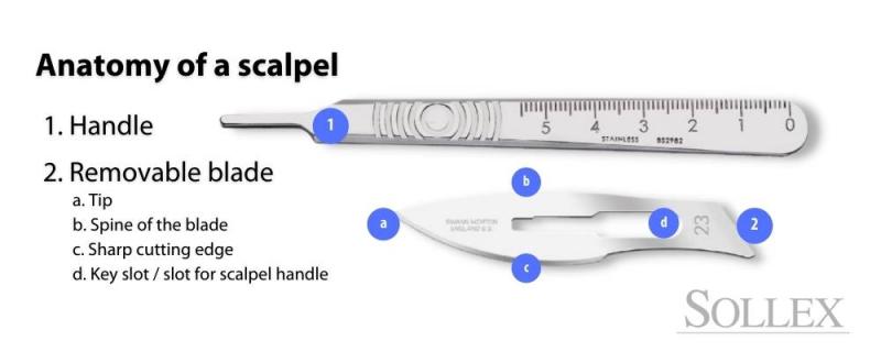 Anatomi av en skalpell: Handtag eller skalpellskaft, utbytbart skalpellblad (spets, bladets ryggrad, skarp skärkant, nyckelspår)