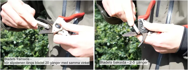 Så här vässar man sin sekatör med en slipsten - Sollex husmorstips