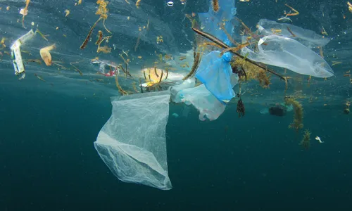 Plastic pollution in ocean is a huge problem - Sollex blog