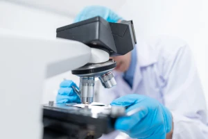 research fungi and lichens with microscope - Sollex blog