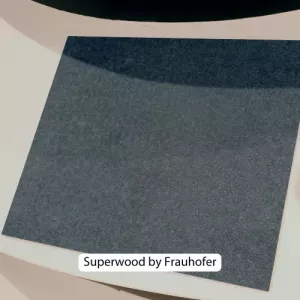 Superwood by Frauhofer - Sustainable materials - Sollex blog