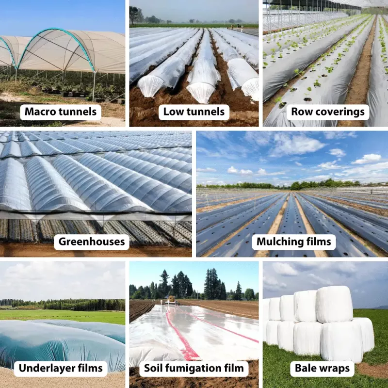 Types of agricultural films: mulch film, macro and low tunnels, row coverings, greenhouses, underlayer films, bale wraps - Sollex blog