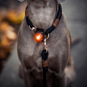 Orbiloc Dog Dual Gul