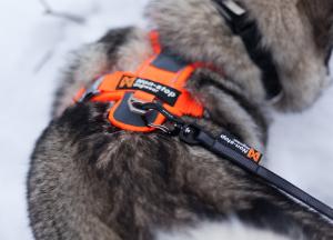 Non-stop Dogwear Touring Bungee 13mm bred