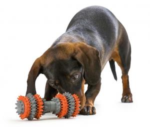Hunter Tooth Cleaner hundleksak
