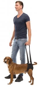 Trixie Promenadhjälp