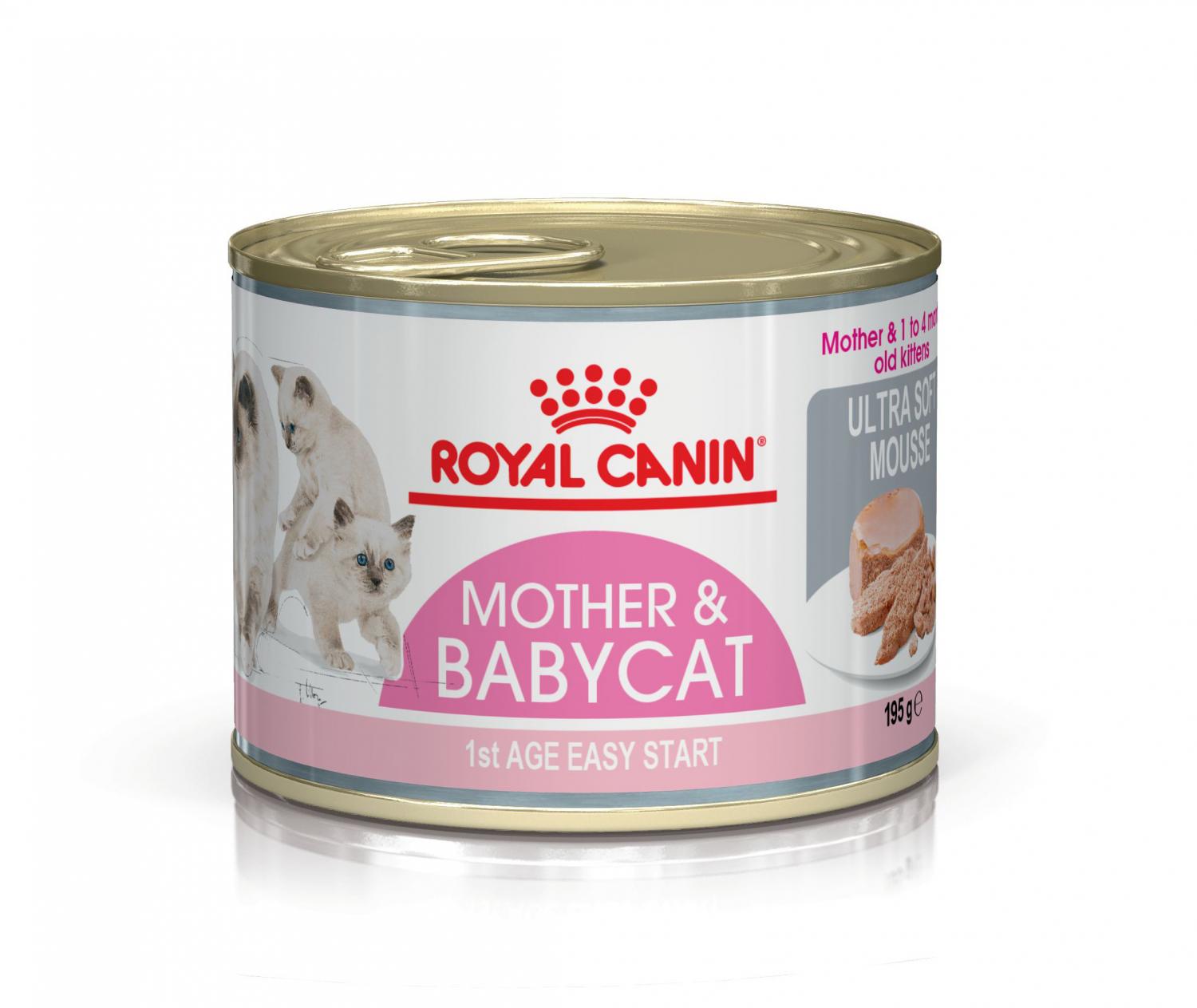 Royal Canin Mother & Babycat Mousse 12x195g