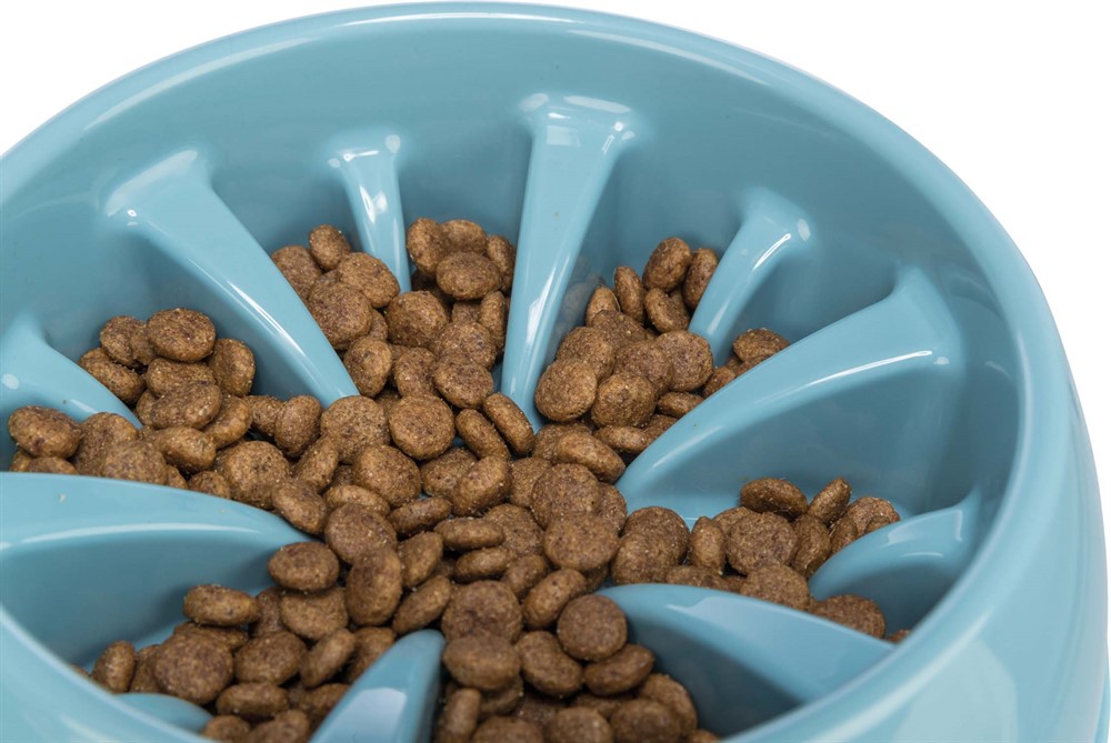 Hetsätarskål i plast till din hund som slukar maten