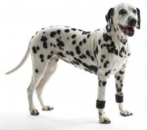 Kruuse Benviktmanschetter