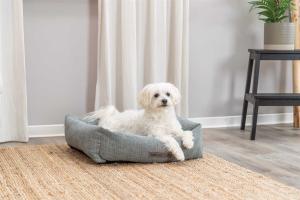 Trixie bädd Viviana är en mjuk hundbädd med ett vävt läckert tyg och dynan i stilren sammetslook. Det avtagbara klädseln går att tvätta i maskin i 40 grader. Undersidan har en halkfri botten som gör att den ligger bättre på plats.