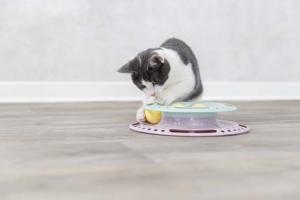 Trixie Junior Kitten Circle