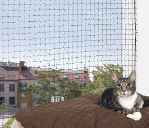 Svart kattnät perfekt till balkongen