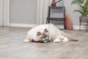 Kattvippa med en mus som svansen är gjord i plysch. En rolig aktivering för din katt.