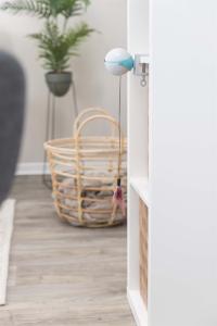 automatisk kattleksak som stoppar efter 15min