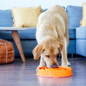 Outward Hound Fun Feeder Slo-Bowl Orange