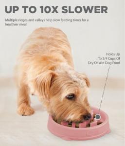 Outward Hound Fun Feeder Slo-Bowl XS Rosa
