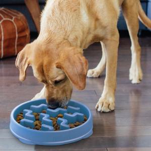 Outward Hound Fun Feeder Slo-Bowl Blå