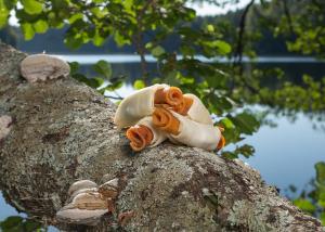 RAUH! tuggbenen tillverkas som hantverk i Finland och bara av råvaror som håller prima kvalitet. Våra tillverkningsmetoder har alldeles från början planerats enbart för tillverkning av tuggben och annat hundgodis, för ditt husdjurs bästa