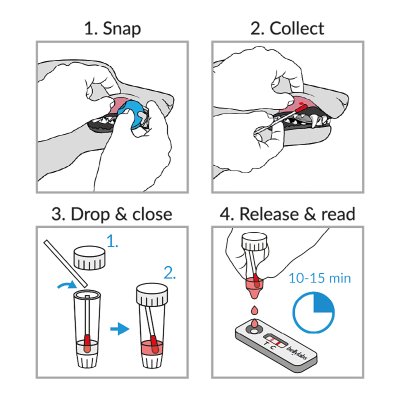 Bellylabs dräktighetstest till hund. Enkelt hemmatest