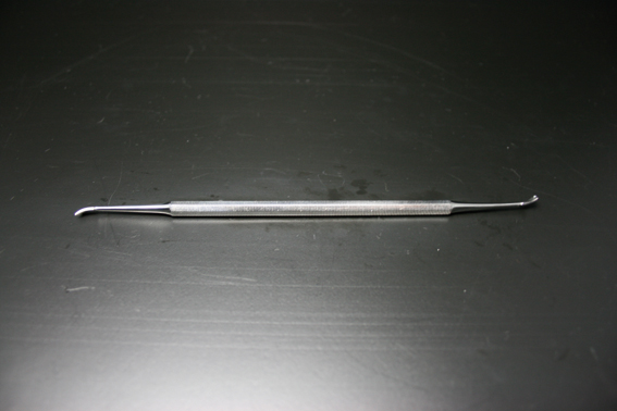 Med tandstensskrapan kan du enkelt skrapa bort tandsten från hundens tänder,