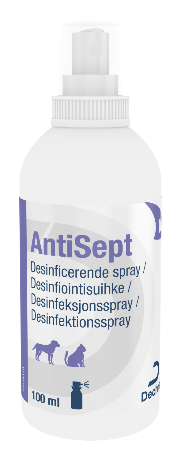 Dechra AntiSept Clorhexidin spray