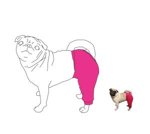 Är det svårt att få ditt djur att ha på sig krage? Då är VetHelps benskydd ett perfekt alternativ. Benskyddet är lämpligt att ha vid t ex benbrott, benskador och/eller sår.