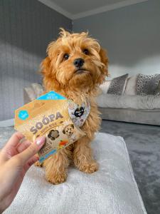 Soopa spannmålsfritt hundgodis till valpar