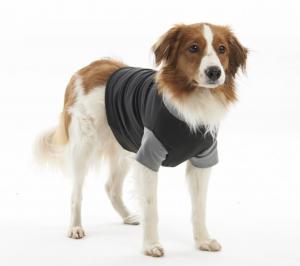 Buster Body Suit Classic