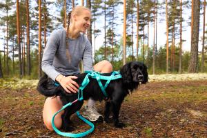 Non-stop Dogwear Bungee Leash Aqua
