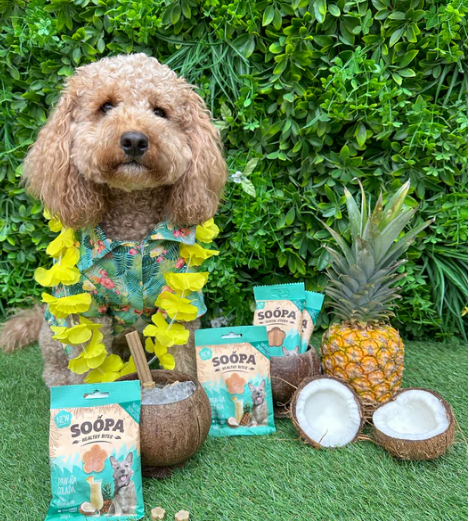 Soopa Healthy godis är spannmålsfria, allergivänliga och tillverkade av naturliga ingredienser av humankvalitet. De hjälper till att hålla din hunds tänder rena och förbättrar andedräkten.