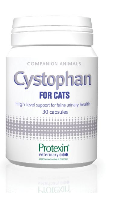 Healthy Pet Scandinavia Cystophan Katt