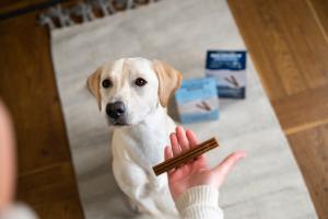 Monster dental Chew