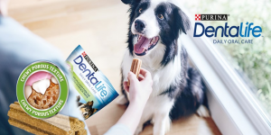 Purina Dentalife