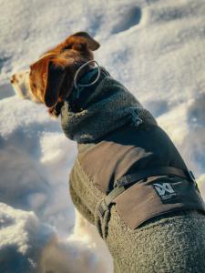 Non-stop Dogwear Wool Dog  Jacket är en slitstark ulljacka för hundar, gjord för att optimera vilan under och återhämtning efter dina äventyr.