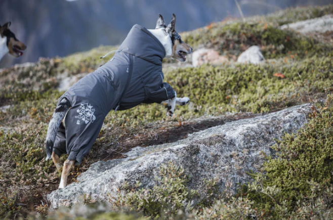 Hurtta Extreme Overall värmande overall är utformad för särskilt kalla förhållanden och för hundar som lätt fryser. Den skyddande utformningen isolerar hundens stora muskelgrupper samt bukregionen, bröstet och benen,