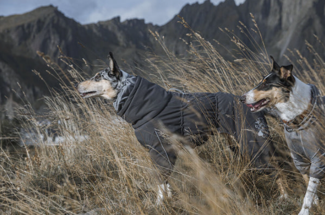 Hurtta Extreme Overall värmande overall är utformad för särskilt kalla förhållanden och för hundar som lätt fryser. Den skyddande utformningen isolerar hundens stora muskelgrupper samt bukregionen, bröstet och benen,
