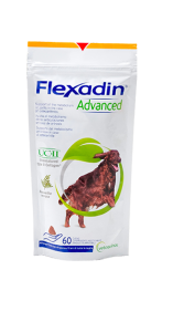 Flexadin för hundar med artros
