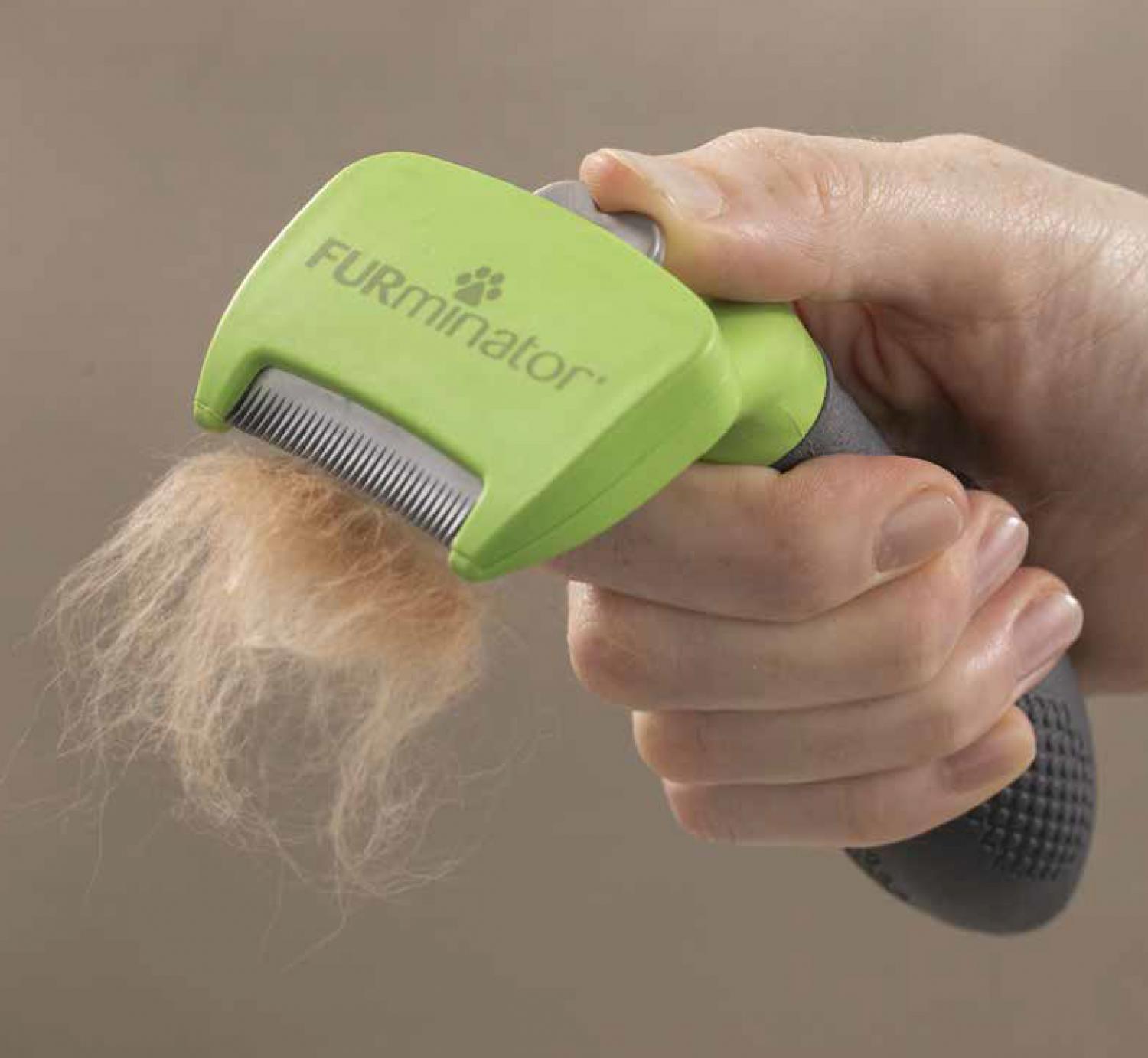 Deshedding Tool For Short Hair Pomeranians