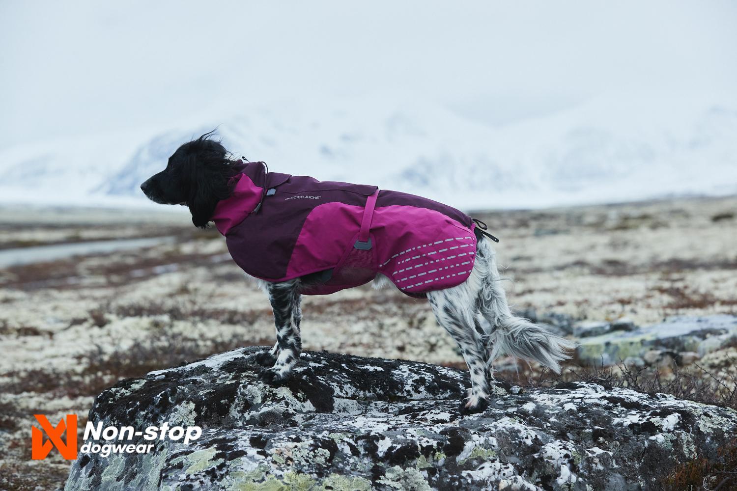 Non-Stop Dogwear Glacier Jacket Purple