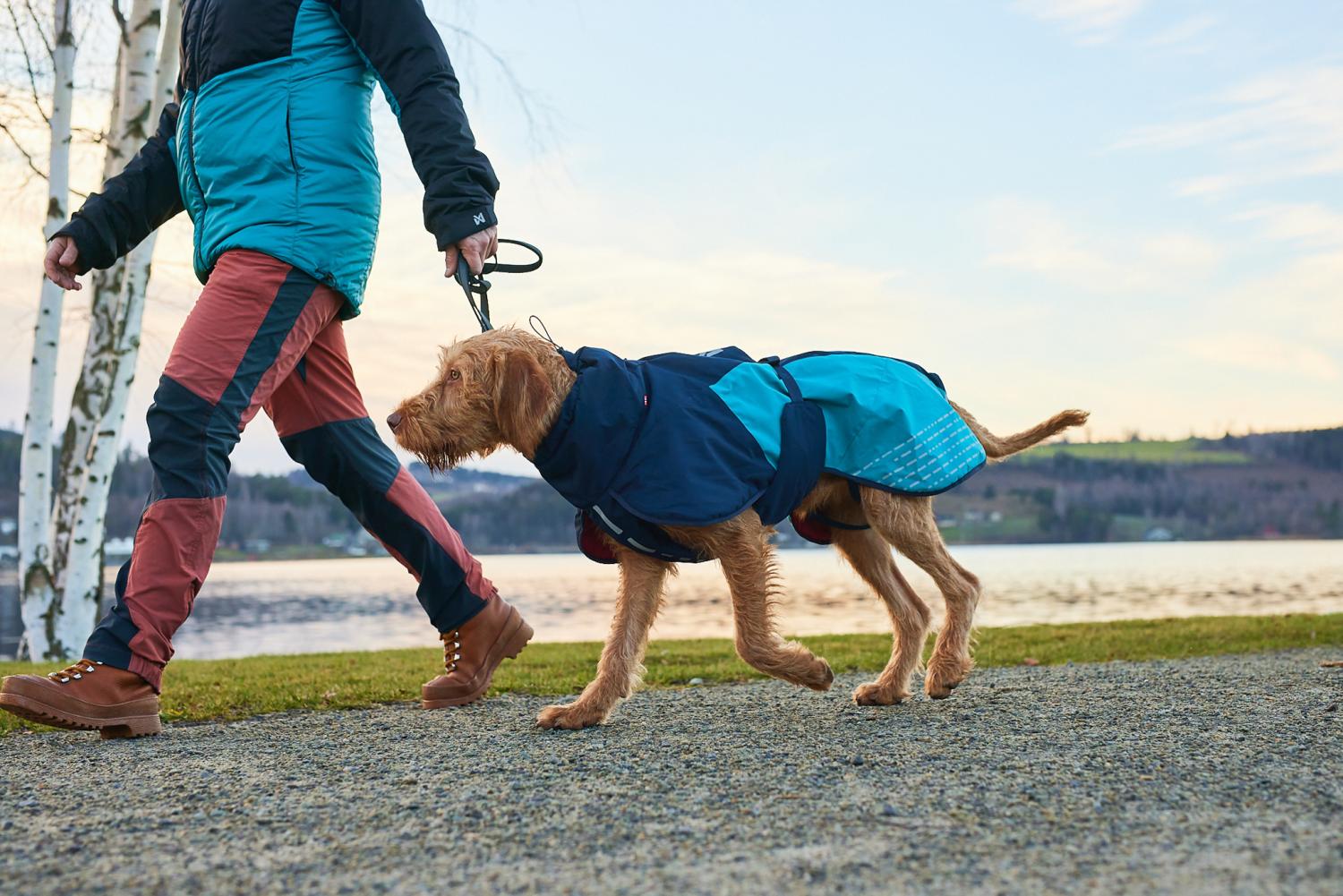 Non stop dogwear glacier hundtäcke